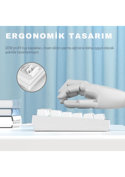 AK820 Kablolu Mekanik Oyun Klavyesi , Mavi Işıklı, Beyaz, 82 Tuş, Hot Swap, Anti Ghosting fiyatları