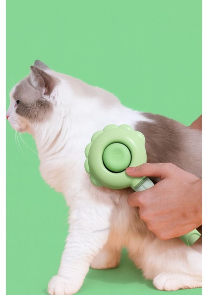 Basmali Su Sprey Hazneli Telli Evcil Hayvan Tüy Bakım Fırçası