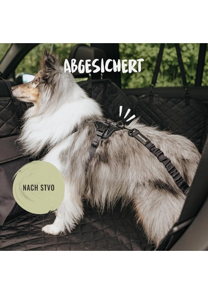 Alman Kalitesi Rudelkönig Ayarlanabilir Elastik Köpek Emniyet Kemeri 60-80 cm modelleri