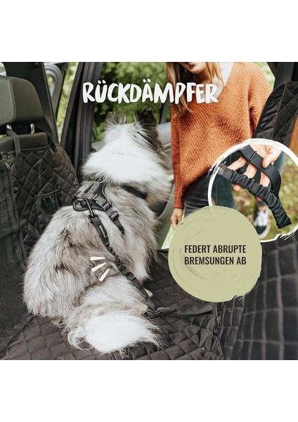 Alman Kalitesi Rudelkönig Ayarlanabilir Elastik Köpek Emniyet Kemeri 60-80 cm fırsatları