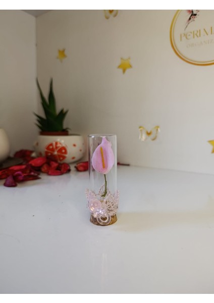 Pembe Gala Çiçek Küçük Tüp Söz, Nişan, Düğün, Kına, Nikah,hediyelik -15 Adet