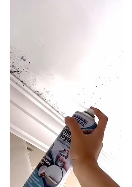 Nem Küf Yalıtım Sprey Boyası Beyaz 500 Ml. fiyatları