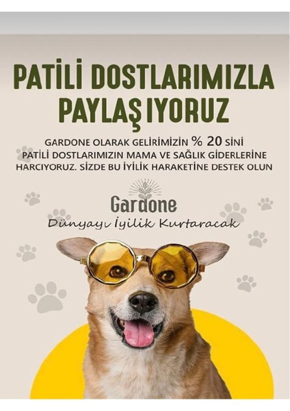 Tarihi Parfümlü Lila Ahenk Aşk Kolonyaları 200 ml X100 ml modelleri