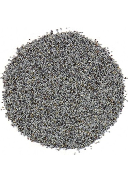 Haşhaş Tohumu 250 gr