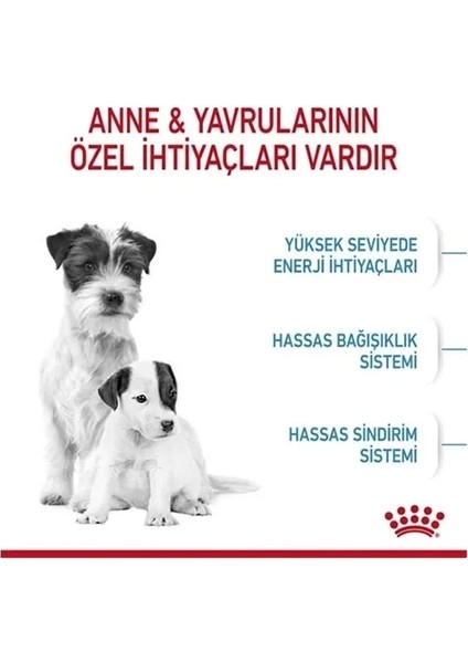 Royal Canin Mini Starter Anne ve Yavru Köpek Maması 4 kg modelleri