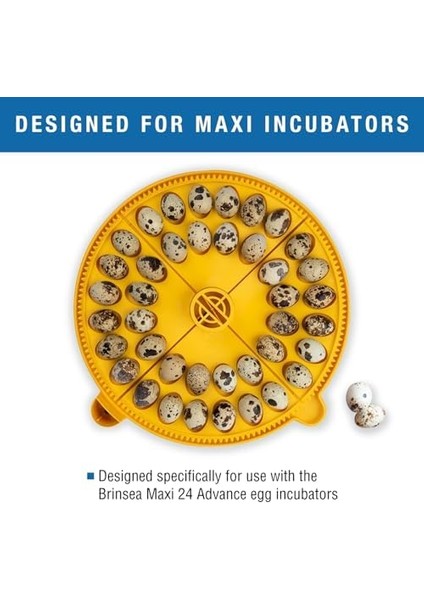 Products Maxi Advance Kuluçka Makinesi Küçük Yumurta Çeyrek Ekleme (40 Bıldırcın Yumurtası), Sarı fiyatları