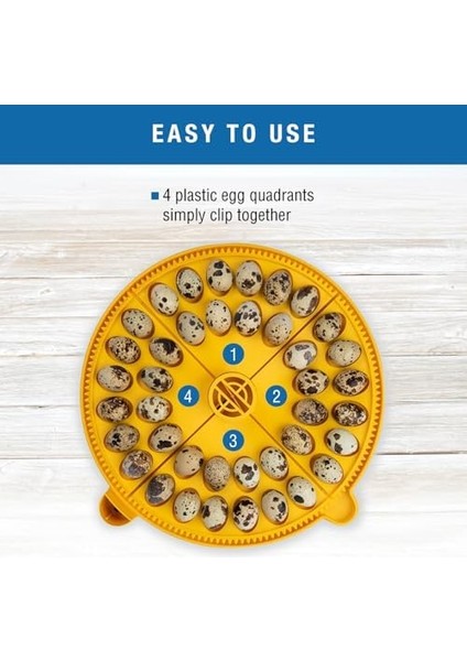 Products Maxi Advance Kuluçka Makinesi Küçük Yumurta Çeyrek Ekleme (40 Bıldırcın Yumurtası), Sarı modelleri