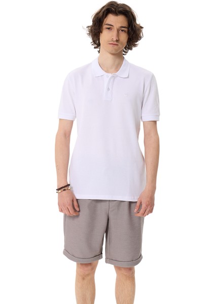 Premium Erkek Polo Yaka Tişört Giorgio fiyatları