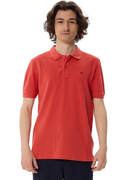 Premium Erkek Polo Yaka Tişört Giorgio modelleri