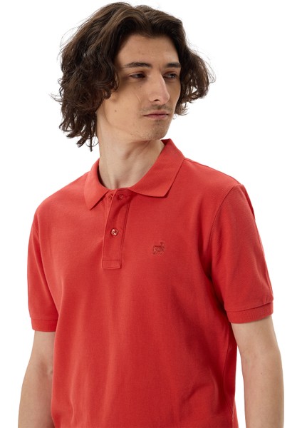 Premium Erkek Polo Yaka Tişört Giorgio fırsatları