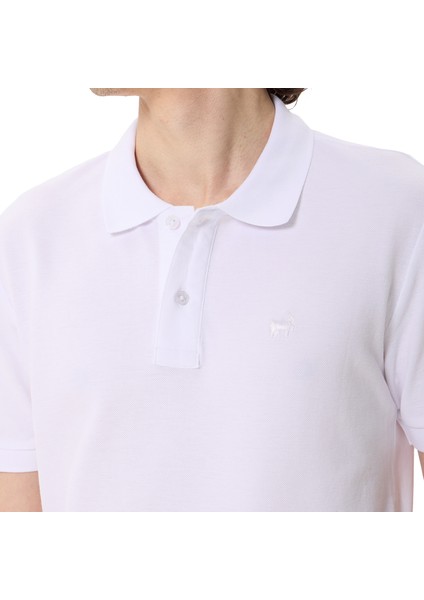 Premium Erkek Polo Yaka Tişört Giorgio modelleri