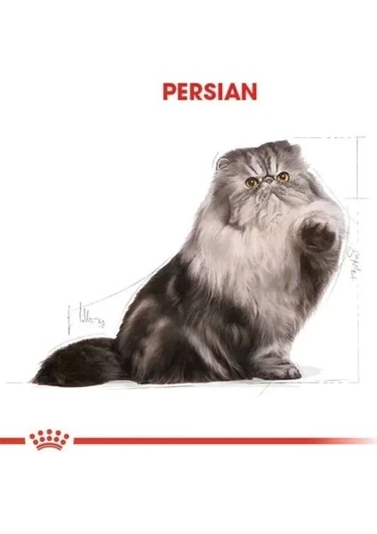 Royal Canin Persian Adult Yetişkin Iran Kedisi Maması 4 kg modelleri