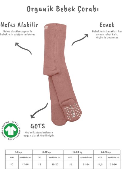 Bistyle Tekli Kaymaz Mix Havlu Külotlu Çorap 50501 Pudra fiyatları