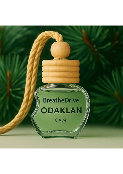 Odaklan – Çam - Hipoalerjenik Duygu Odaklı Oto Kokusu - Astim ve Allerji Dostu
