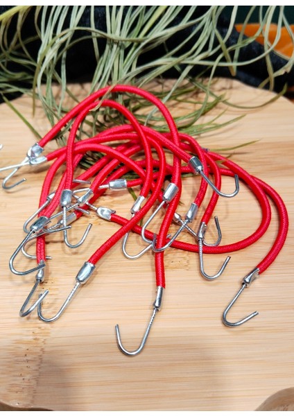 Lüks 10 Adet Kancalı Lastik