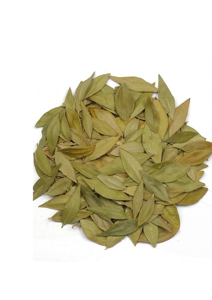 Mersin Yaprağı Myrtus Communis 1 Kg, Derya Eren fiyatları
