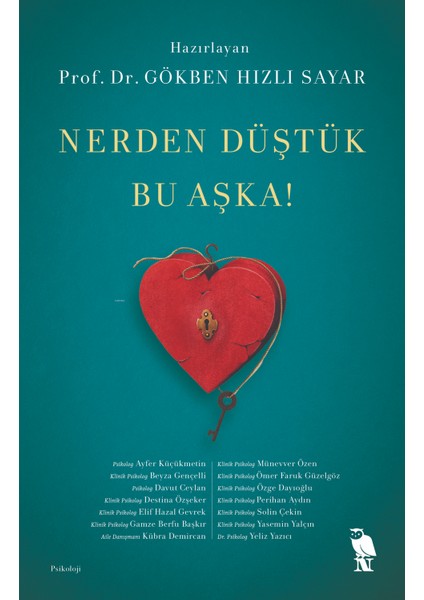 Gökben Hızlı Sayar 2 Kitap Seti + Okuma Sticker'ları modelleri