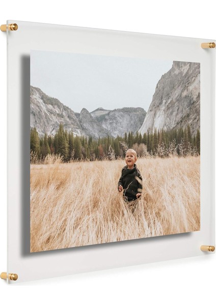 Modern Frames Coolmodernframes 40,6 x 50,8 cm Şeffaf Yüzer Çift Panel Akrilik Resim Çerçevesi, Sanat ve Fotoğrafları Dönüştürmek ve Sunmak Için Altın Donanım