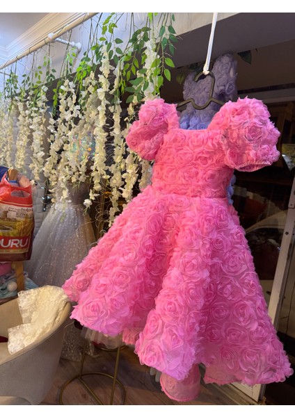 Rose Elbise fiyatları