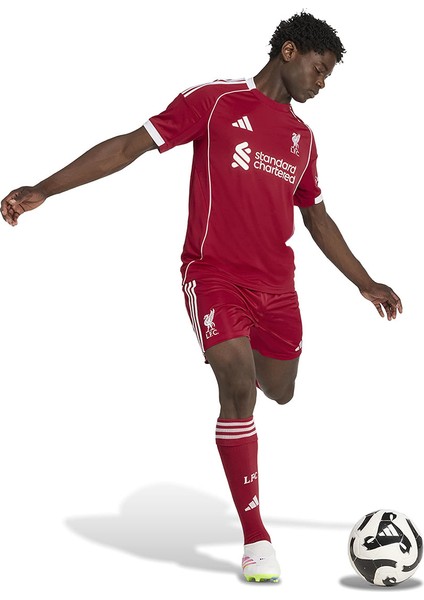 Erkek Kırmızı Şort LFC H SHO (Liverpool) JV6425 modelleri
