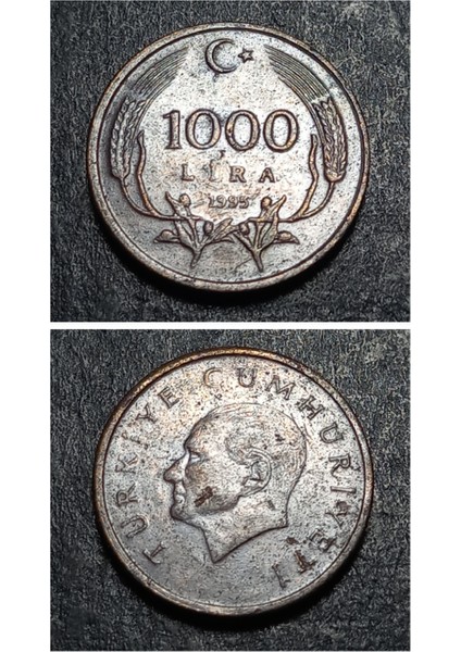 3996368991CB0BE110 1995 1000 Lira Çt+ %90 Bakır Para