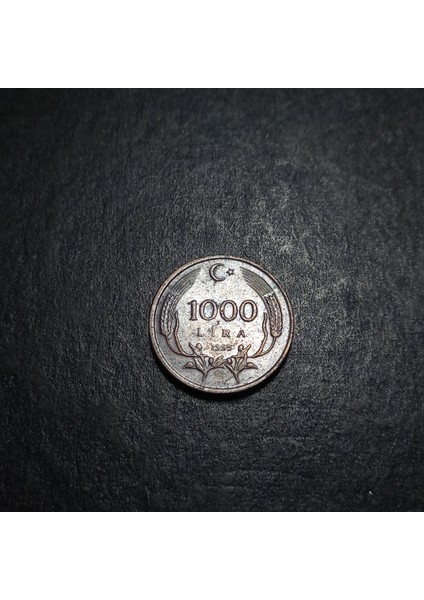 3996368991CB0BE110 1995 1000 Lira Çt+ %90 Bakır Para fiyatları