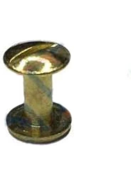 Cilt Menü, Katalog, Kartela Vidası, 9 mm - Sarı, 1 Adet (7272)