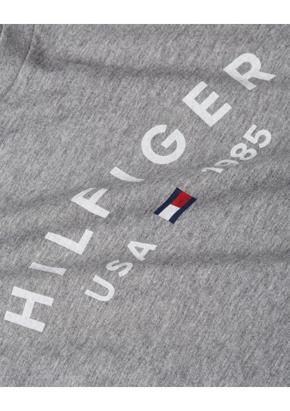 Tommy Hılfıger Fathers Day Tee T-Shirt indirimleri