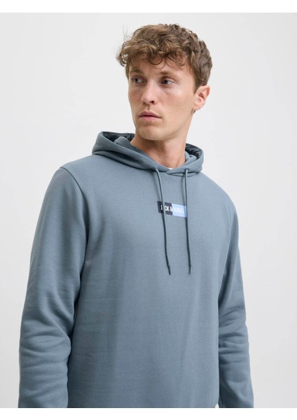JJPAN SWEAT HOOD Gri Erkek Sweatshirt fiyatları