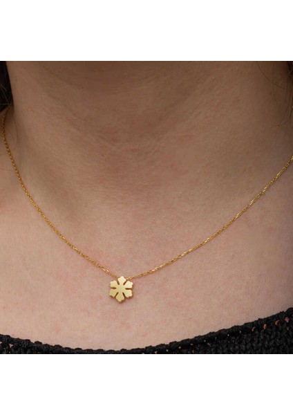 925 Ayar Gümüş Gold Minimal Kar Tanesi Kadın Kolye T8658 (7272) fırsatları