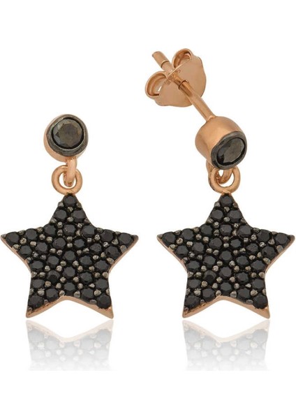 925 Ayar Gümüş Yıldız Küpe EA1160193 (7272)