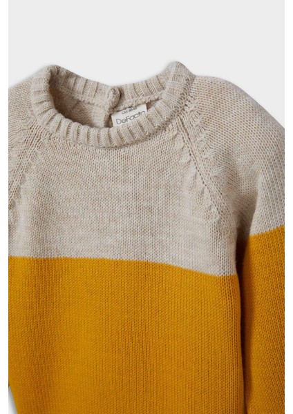 Erkek Bebek Bisiklet Yaka Renk Bloklu Triko Kazak C8875A525AU fiyatları