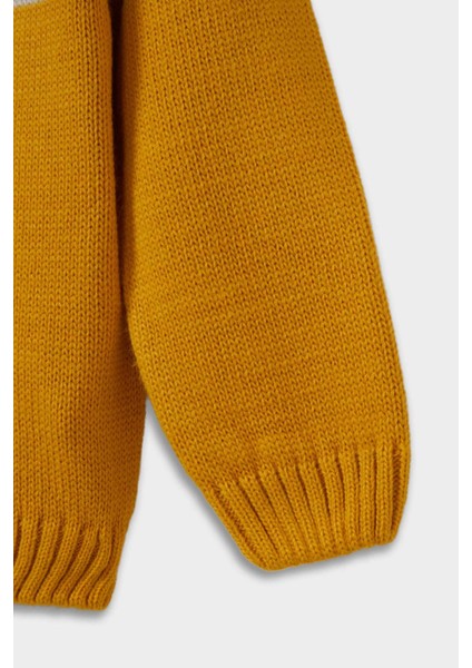 Erkek Bebek Bisiklet Yaka Renk Bloklu Triko Kazak C8875A525AU modelleri