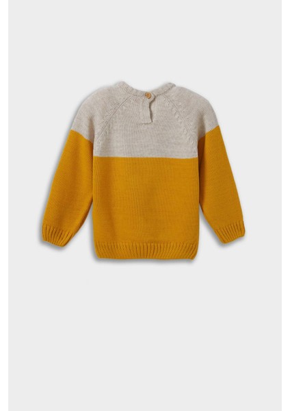 Erkek Bebek Bisiklet Yaka Renk Bloklu Triko Kazak C8875A525AU fırsatları