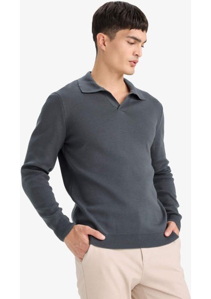 Standart Fit Polo Yaka Triko Kazak D4046AX25WN modelleri