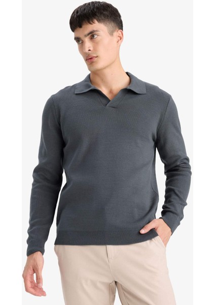 Standart Fit Polo Yaka Triko Kazak D4046AX25WN fırsatları