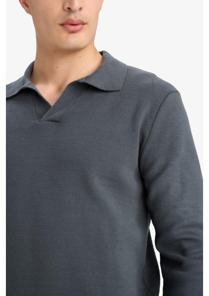 Standart Fit Polo Yaka Triko Kazak D4046AX25WN indirimleri