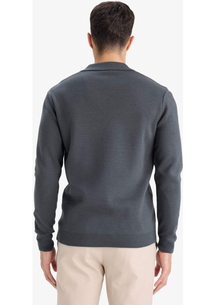 Standart Fit Polo Yaka Triko Kazak D4046AX25WN