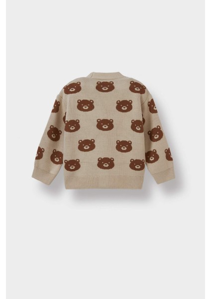 Erkek Bebek Ayıcık Desenli Düğmeli Triko Hırka F2378A525WN modelleri