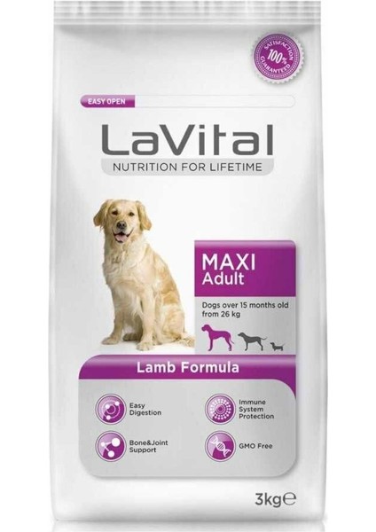 Dog Maxi Adult Lamb Büyük Irk Kuzu Etli Yetişkin Köpek Maması 3 Kg