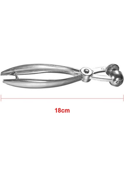 2 Adet Gümüş Metal Kiraz Pitter Zeytin Çukuru Kolay Kaldırıcı Elden Çıkarma Çekirdek Alet Mutfak Meyve Sebze Ceters Pitter (Yurt Dışından) fiyatları