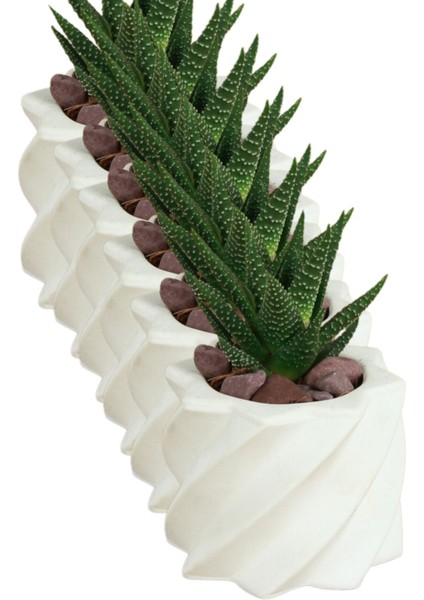 El Yapımı Saksı Seti Dekoratif 6 Adet Saksı Küçük Boy Model 9 fırsatları