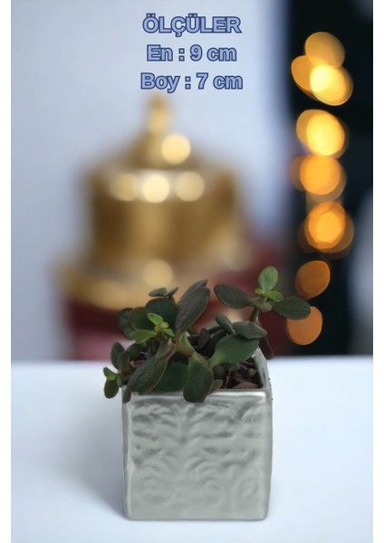 El Yapımı Saksı Premium Kalite Dekoratif Saksı Model 16 indirimleri