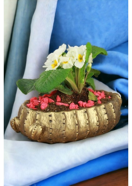 El Yapımı Saksı Premium Kalite Dekoratif Saksı Model 3 fırsatları