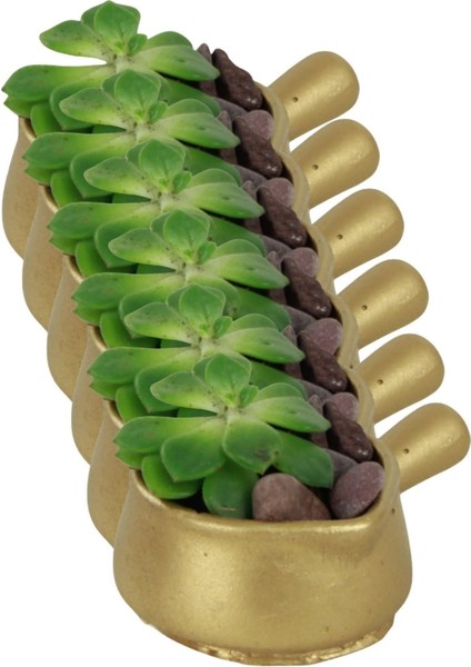 El Yapımı Saksı Seti Dekoratif 6 Adet Saksı Küçük Boy Model 28 fırsatları