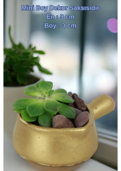 El Yapımı Saksı Seti Dekoratif 6 Adet Saksı Küçük Boy Model 28 indirimleri