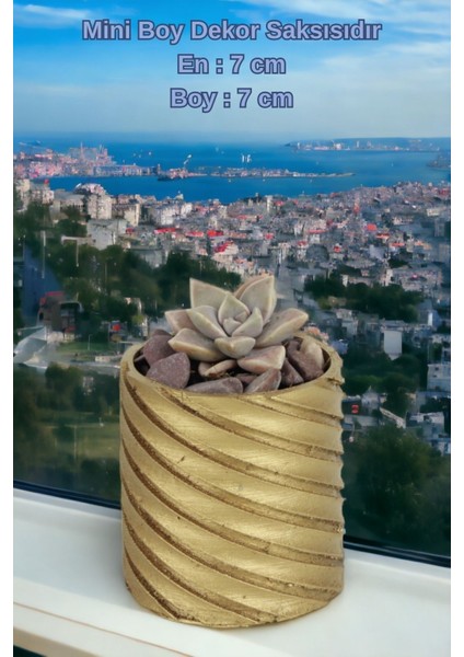 El Yapımı Saksı Seti Dekoratif 6 Adet Saksı Küçük Boy Model 37 indirimleri