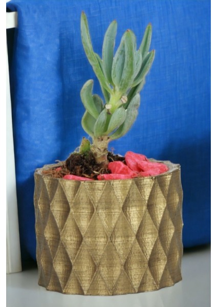 El Yapımı Saksı Dekoratif Saksı Küçük Boy Model 16 fırsatları