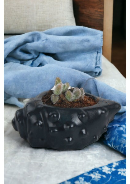 El Yapımı Saksı Dekoratif Saksı Küçük Boy Model 18 fırsatları