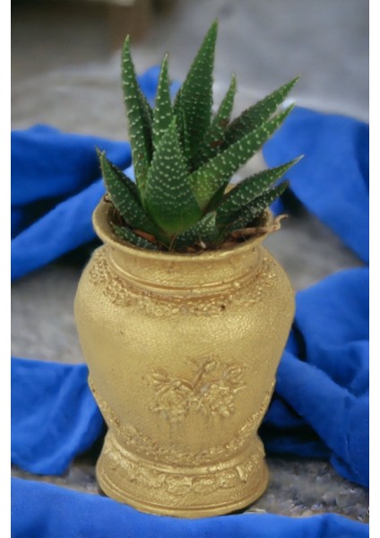 El Yapımı Saksı Dekoratif Saksı Küçük Boy Model 24 fırsatları